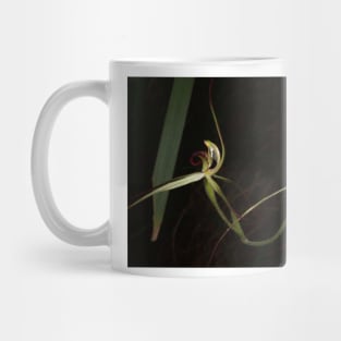 Twin Veins Mug